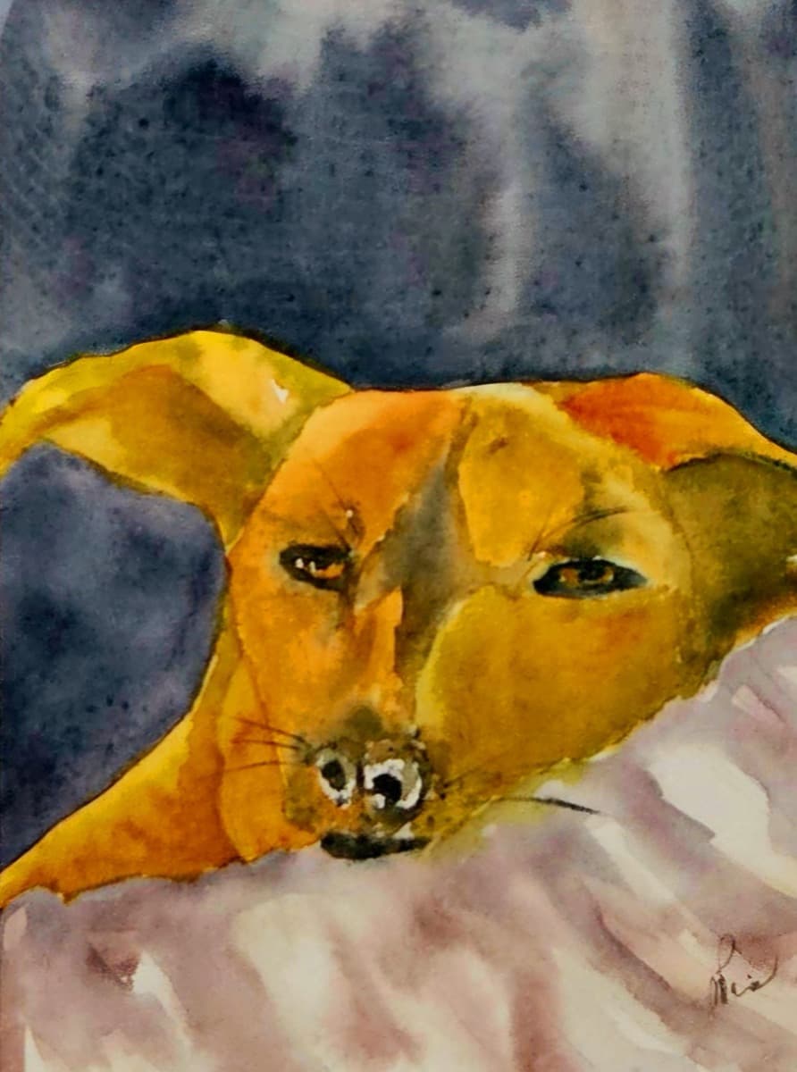 Dio — watercolor by Nikki Paris