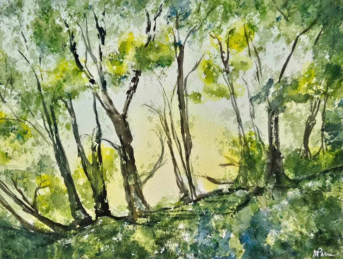 Forest Light — watercolor by Nikki Paris