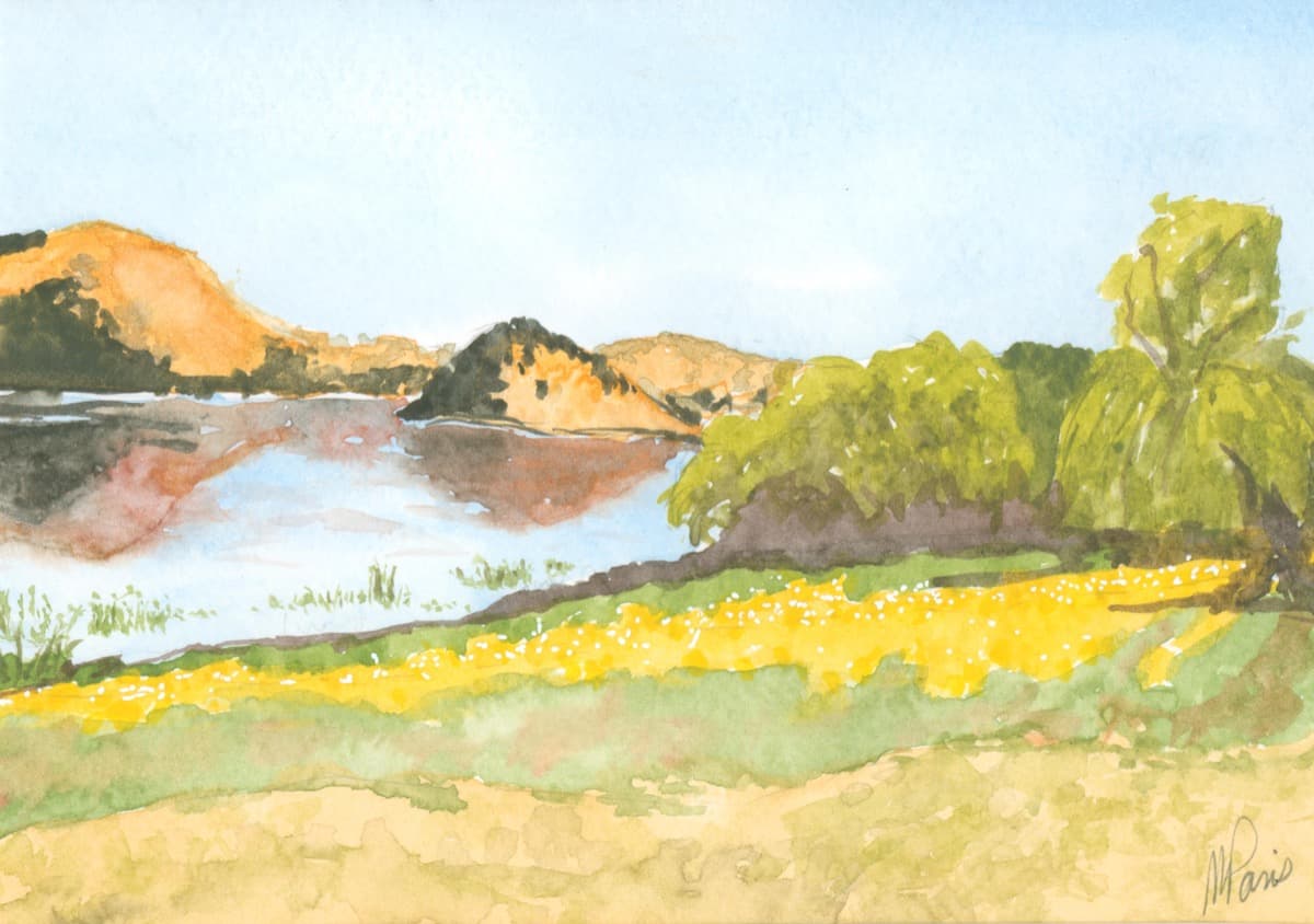 Small Reflections at Stafford Lake — watercolor by Nikki Paris