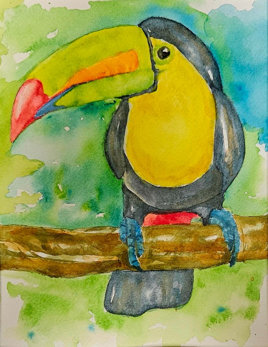 Talli, The Toucan — watercolor by Nikki Paris